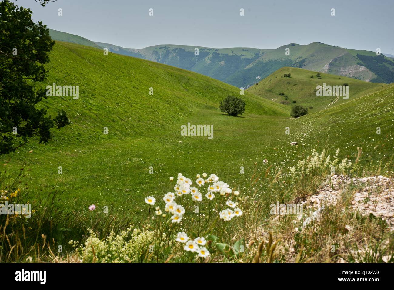 Gebitgslandschaft mit Polje auf dem piani di Ragnolo, Nationalpark Monti Sibillini, Marken, Italien Foto Stock