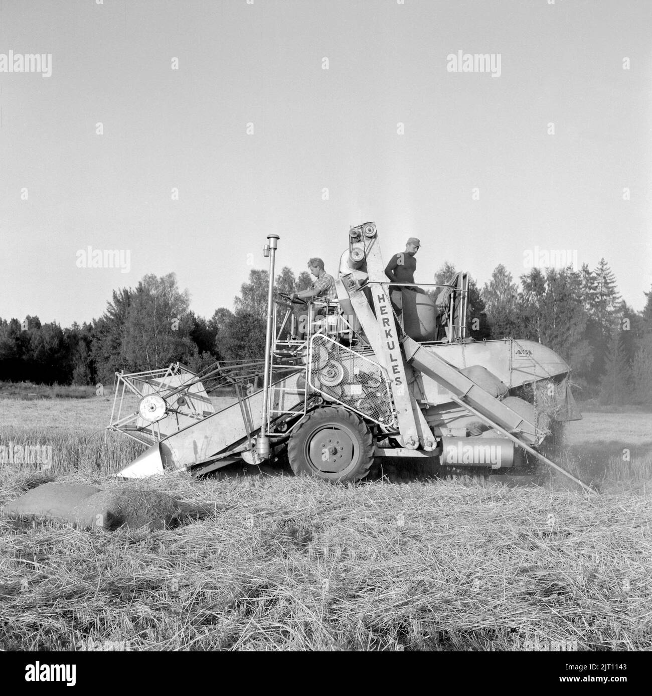 Agricoltura negli anni '1950s. La mietitura è in corso e viene utilizzata una mietitrebbia. Hamra fattoria Svezia 1955 Foto Stock