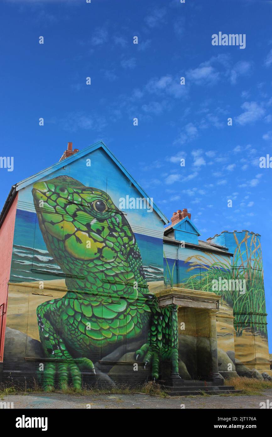 Sand Lizard Art di Paul Curtis - Ainsdale, Merseyside Foto Stock