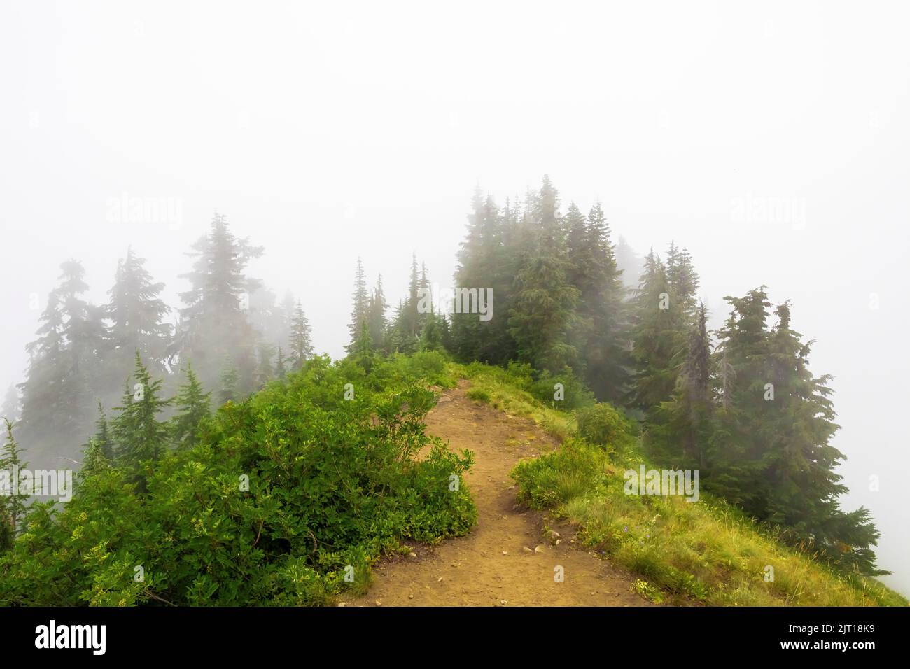 Sentiero e foresta a Evergreen Mountain Lookout, Mt. Baker–Snoqualmie National Forest, Washington state, Stati Uniti Foto Stock