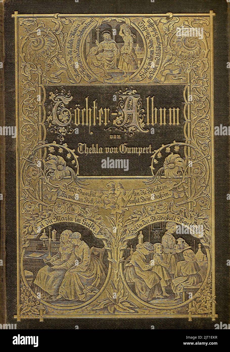 Töchter-Album 29 1885. Foto Stock