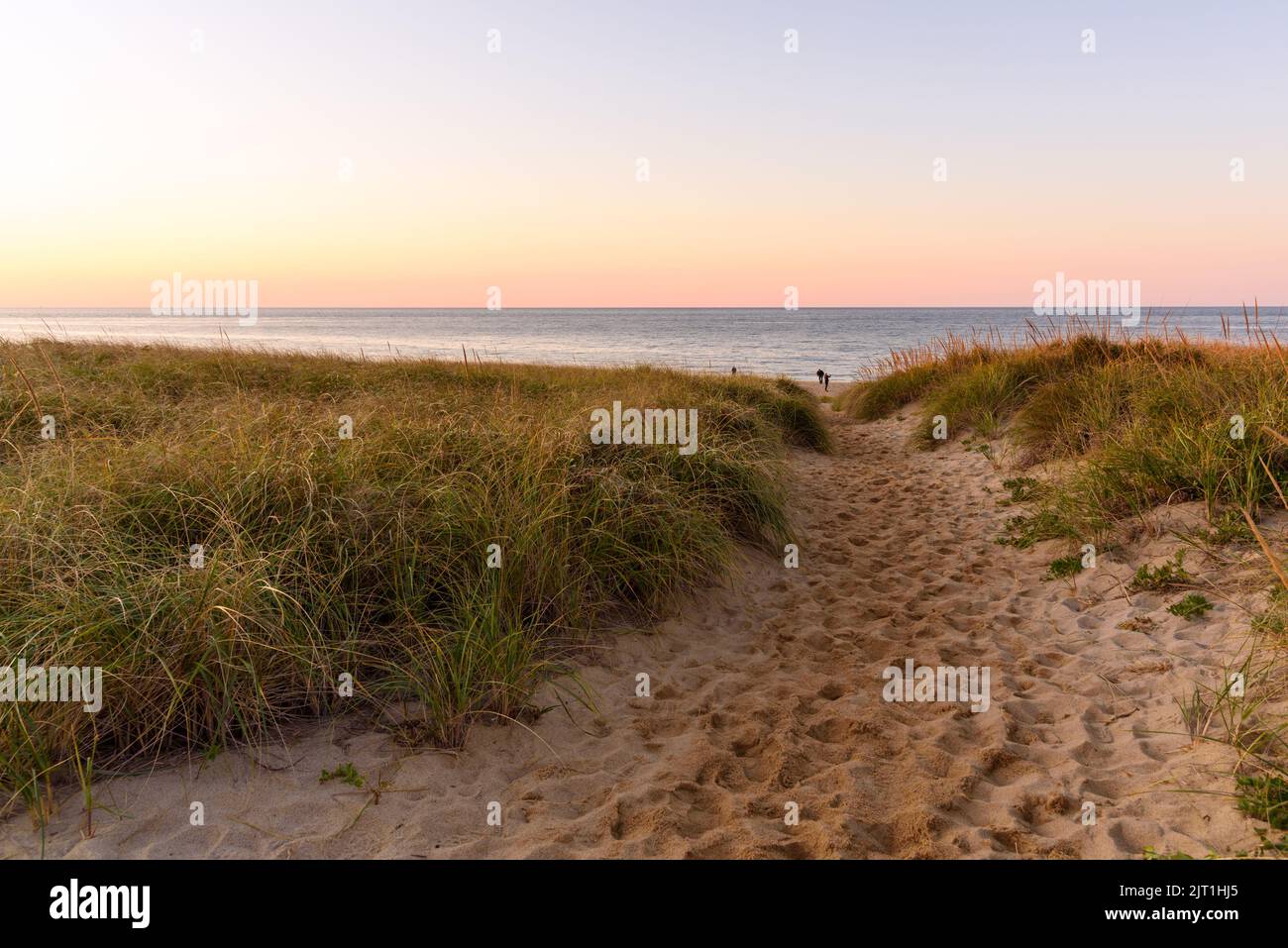 Percorso attraverso dune di sabbia erbose fino a una spiaggia al tramonto in autunno Foto Stock