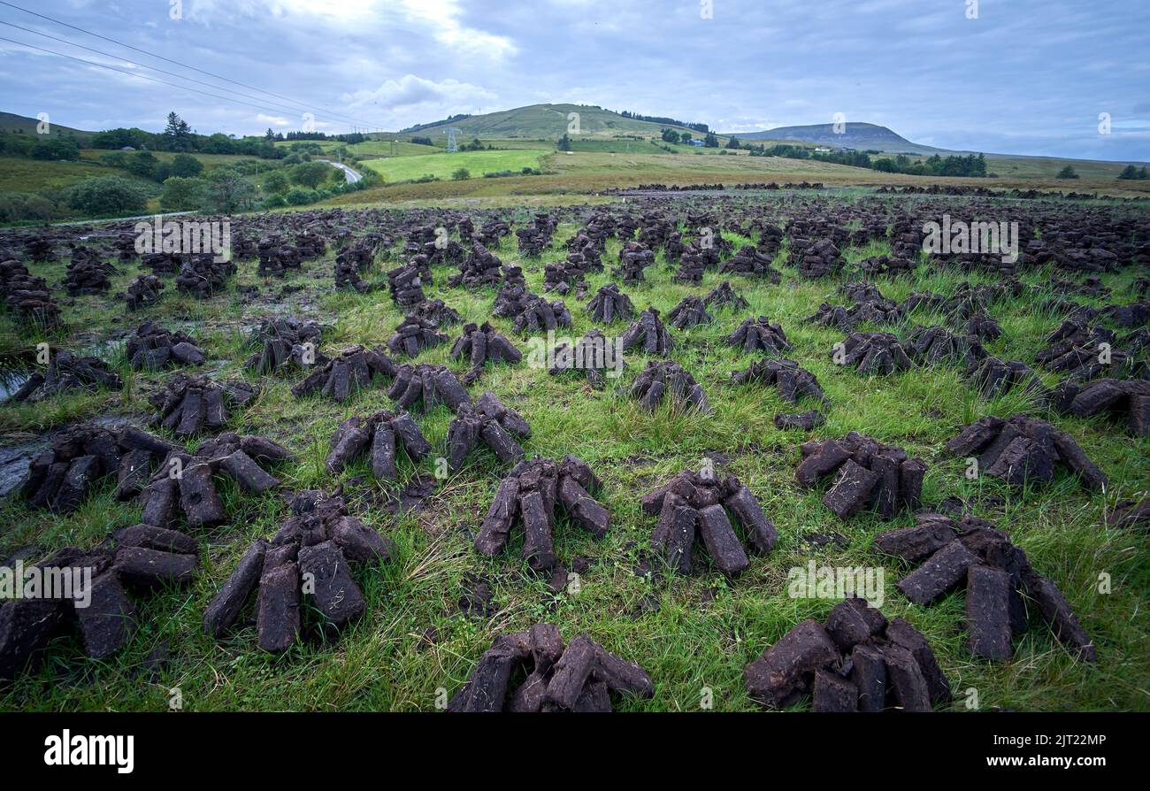 Essiccazione di combustibile fossile in erba sintetica in una torbiera irlandese. Foto Stock