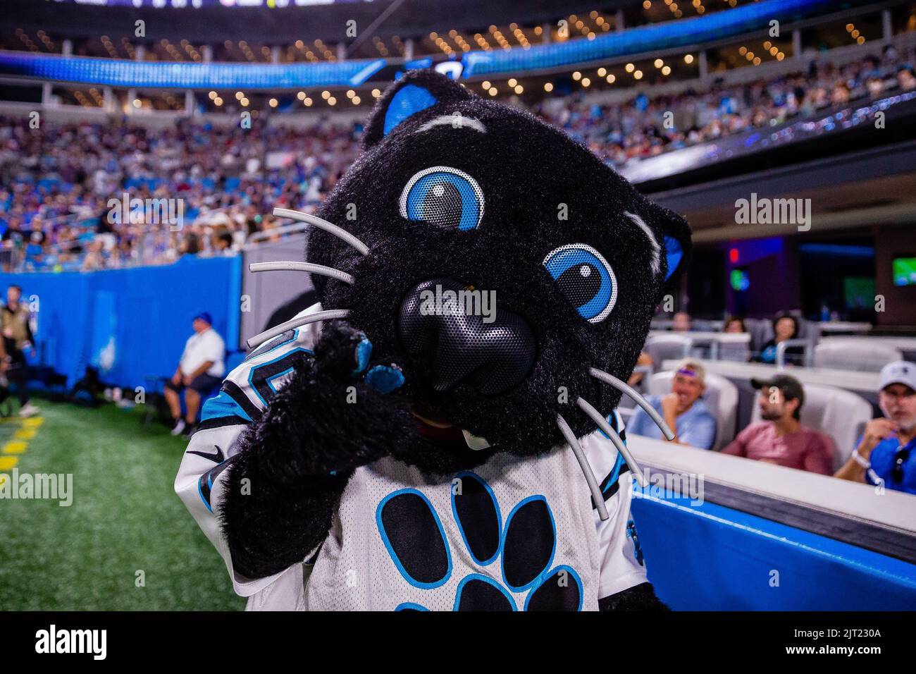 26 agosto 2022: Sir Purr effettua il check-in contro le Buffalo Bills nella partita NFL allo stadio Bank of America di Charlotte, NC. (Scott Kinser/Cal Sport Media) Foto Stock