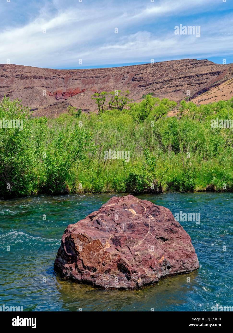 Una grande roccia è alloggiata nel mezzo del fiume Owyhee in Oregon, Stati Uniti Foto Stock