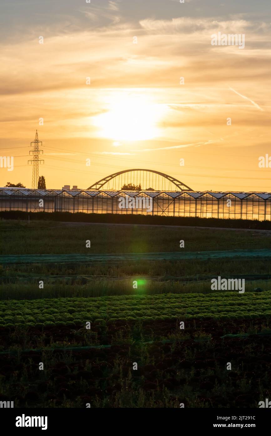 Tramonto d'oro su silhouette serra con ponte e torre elettrica per l'energia solare in attività agricole in campagna idilliaca e rurale Foto Stock