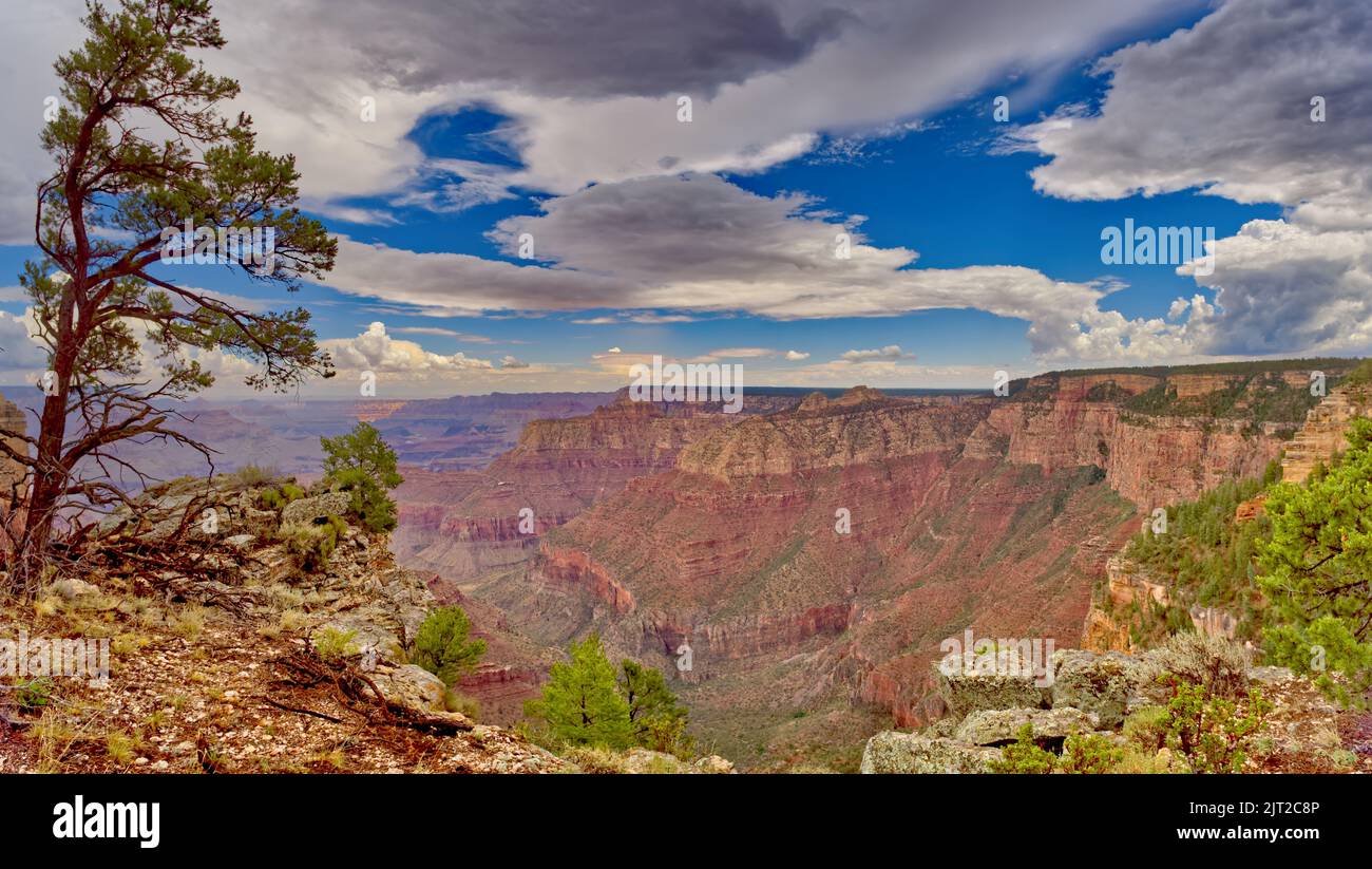 Grand Canyon Arizona ad est di Grandview Point durante la stagione dei monsoni del 2022. Foto Stock