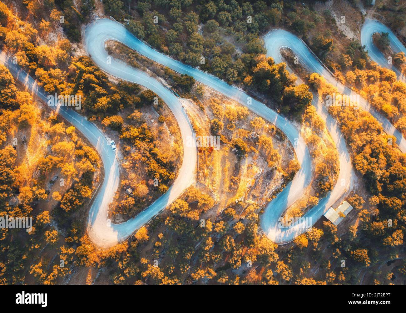 Veduta aerea della strada tortuosa nella bella foresta arancione all'alba Foto Stock
