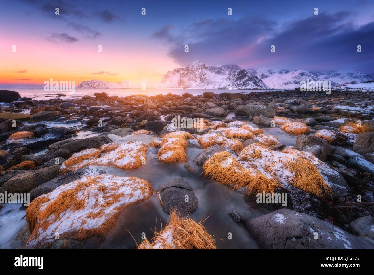 Pietre con erba gialla in ghiaccio sulla spiaggia, montagne innevate Foto Stock