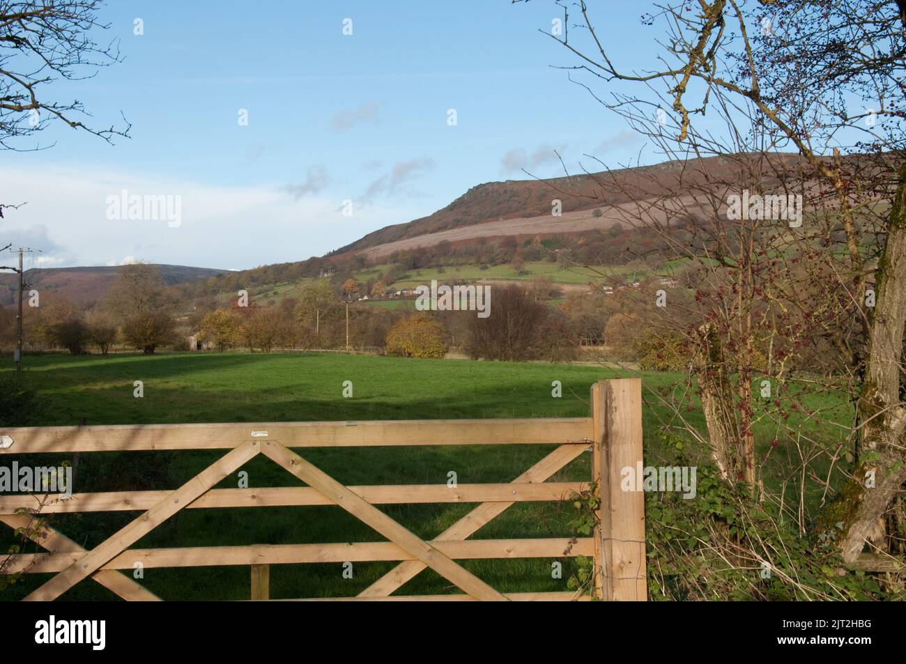 Scena rurale, Bamford, Derbyshire, Regno Unito, Field, colline, alberi Foto Stock