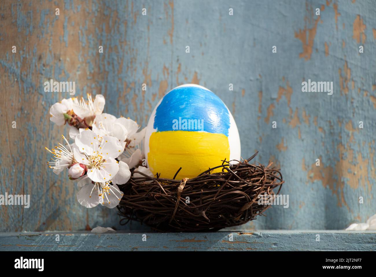 Un uovo di pollo bianco con una bandiera giallo-blu dipinta di Ucraina in un cesto di paglia al sole in Ucraina in una fattoria, vacanze di Pasqua in Ucraina 2022 Foto Stock