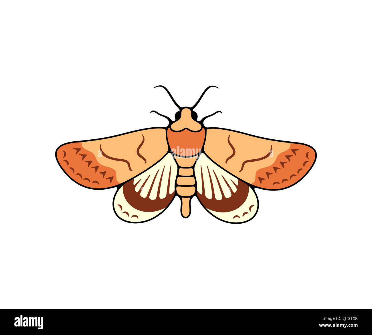 Motley Motley notte, farfalla e moth, logo design. Insetti volanti, natura, entomologia ed entomologia, disegno vettoriale ed illustrazione Illustrazione Vettoriale