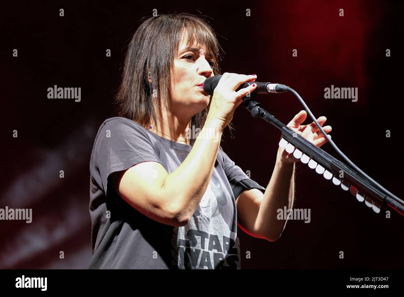 Mantova, Italia. 27th agosto 2022. Carmen Consoli, cantatrice italiana durante il suo concerto dal vivo a Mantova, presso Esedra Palazzo te, per il suo tour estivo 2022 Foto Stock