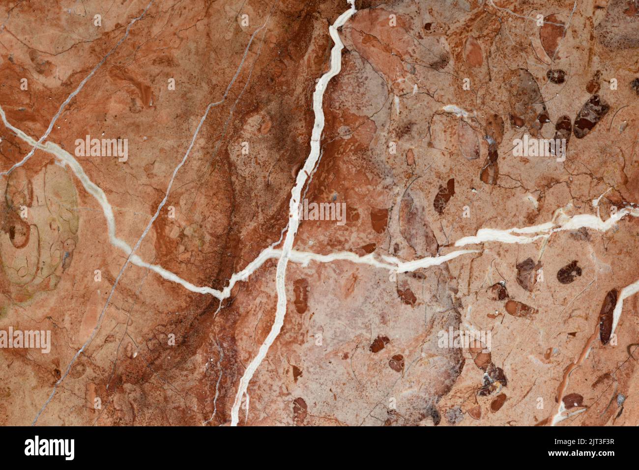 Mármol de las betas de un suelo de la rojo Foto Stock