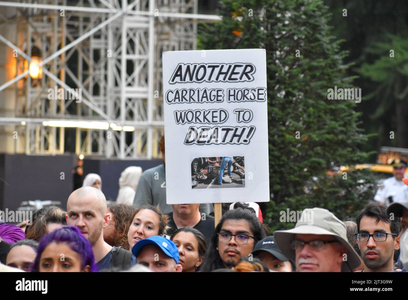 Il partecipante al Rally ha in mano un cartello anti-abuso di animali davanti alla fontana Pulitzer a Manhattan per chiedere la fine dell'abuso di carrozza a cavallo a New Yor Foto Stock