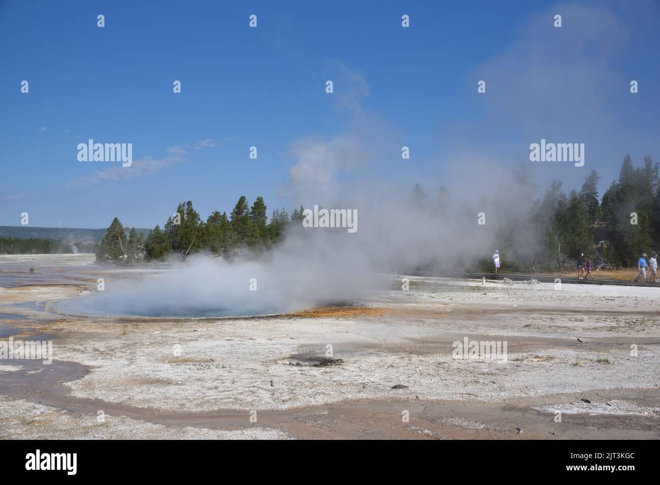 Sorgenti termali nel Parco Nazionale di Yellowstone Foto Stock