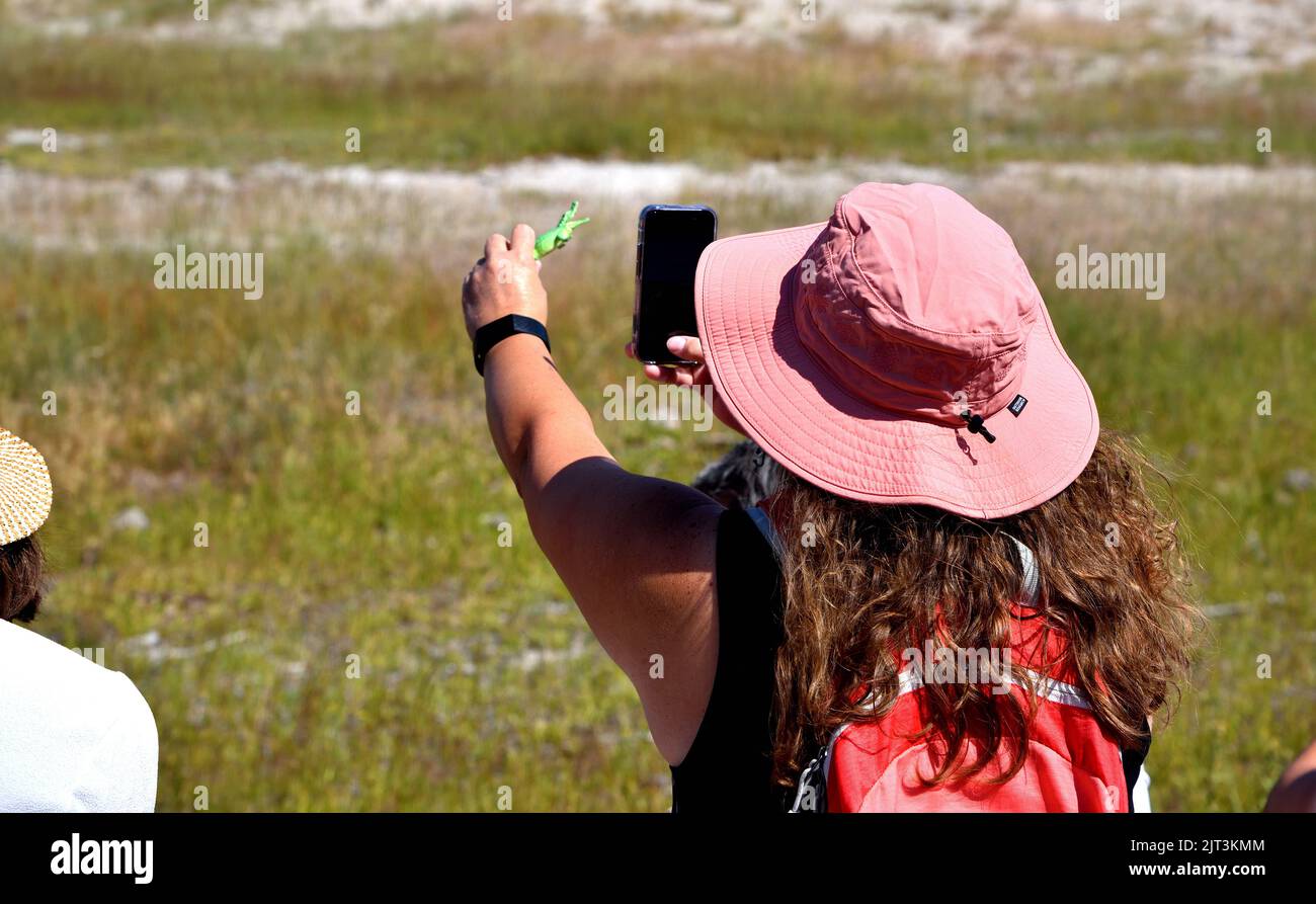 Donna che scatta foto con il dinosauro giocattolo Foto Stock