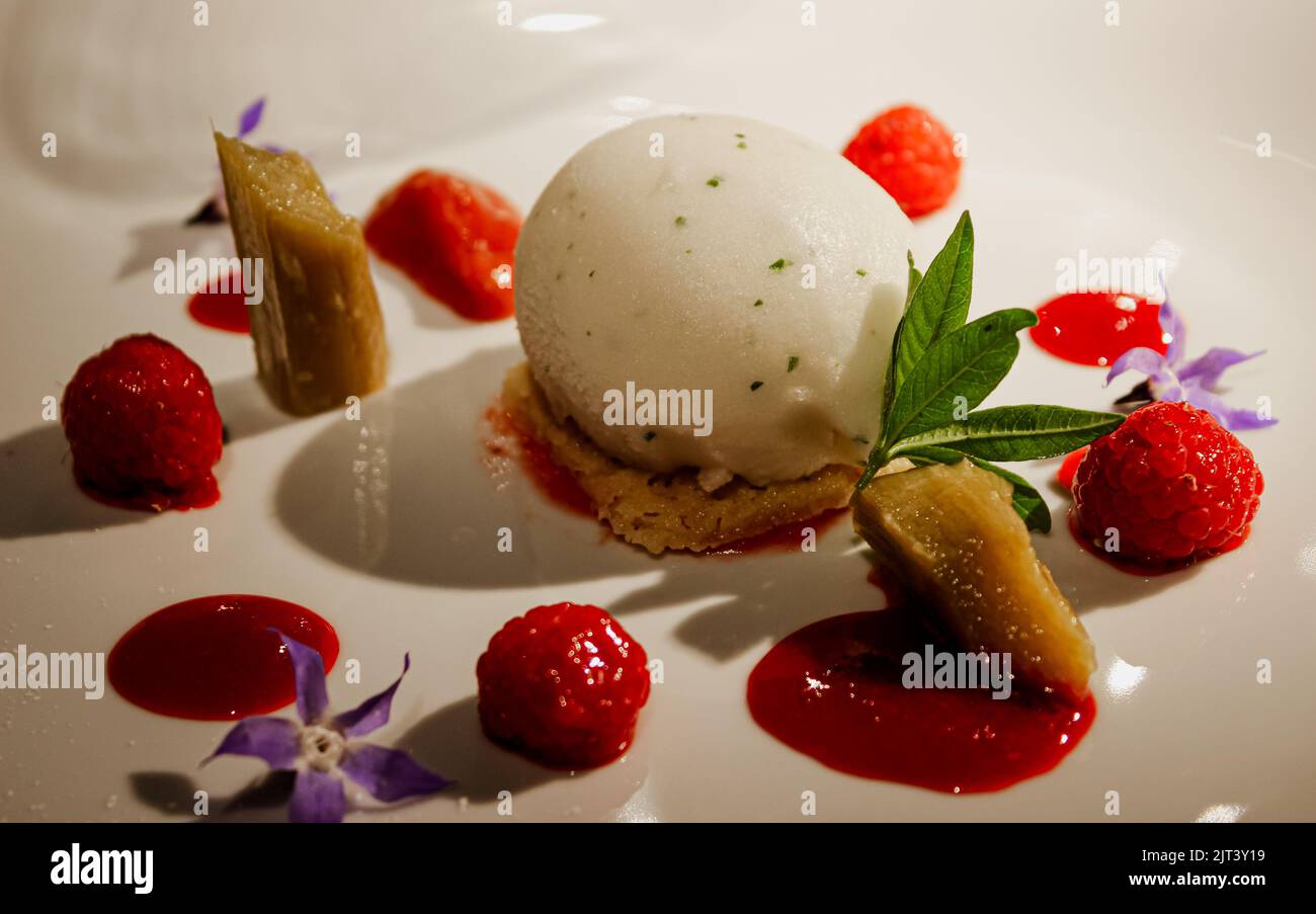 Delicato dessert gourmet con gelato e frutti di bosco rossi. Sapori di frutta rossa. Cibo di fantasia. Foto Stock