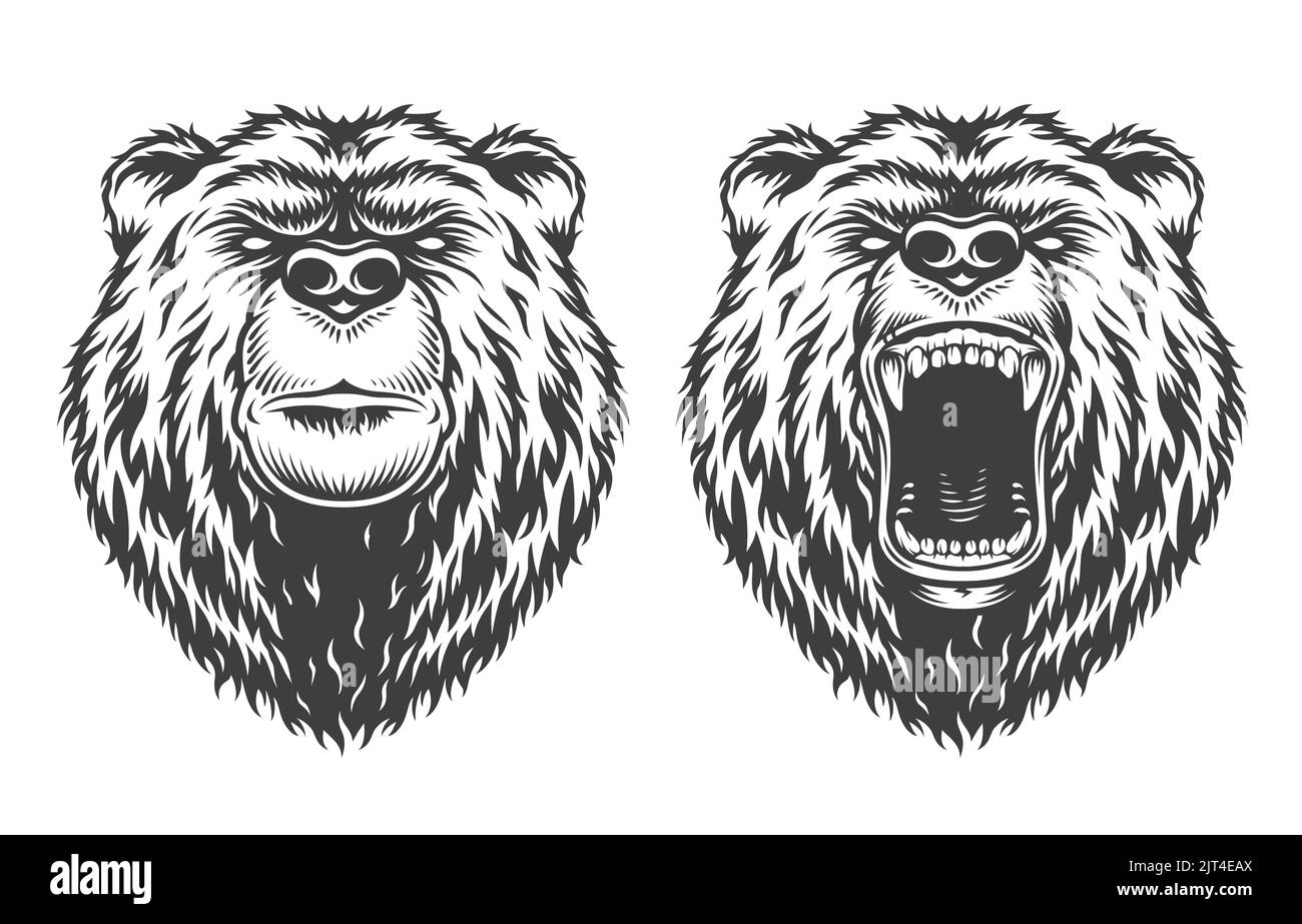 Vintage logo stile arrabbiato e gravi orsi Vector illustrazione Foto Stock
