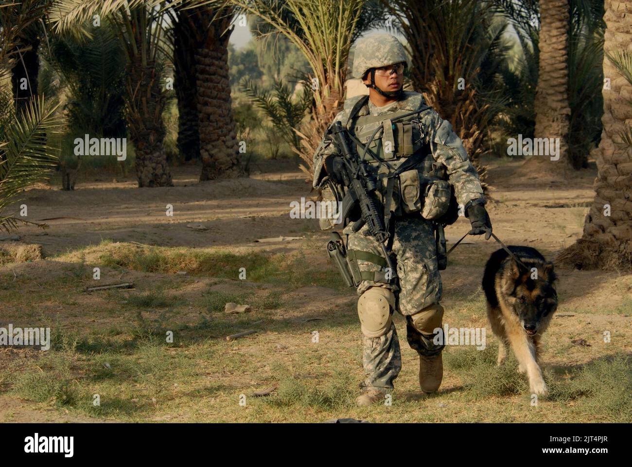 U.S. Airmen, Military Dogs Patrol Streets Foto Stock