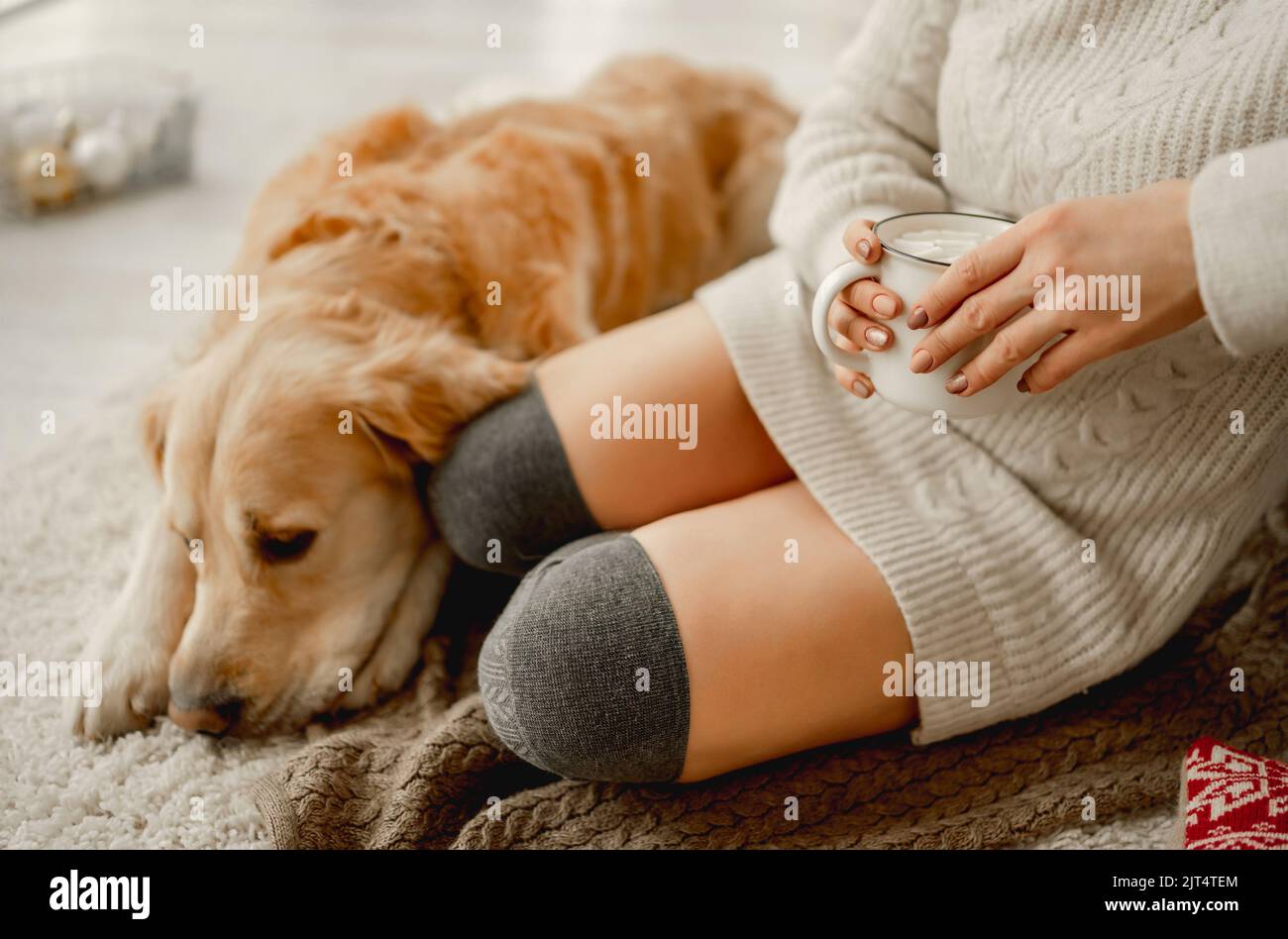 Ragazza con cacao e cane Golden Retriever Foto Stock