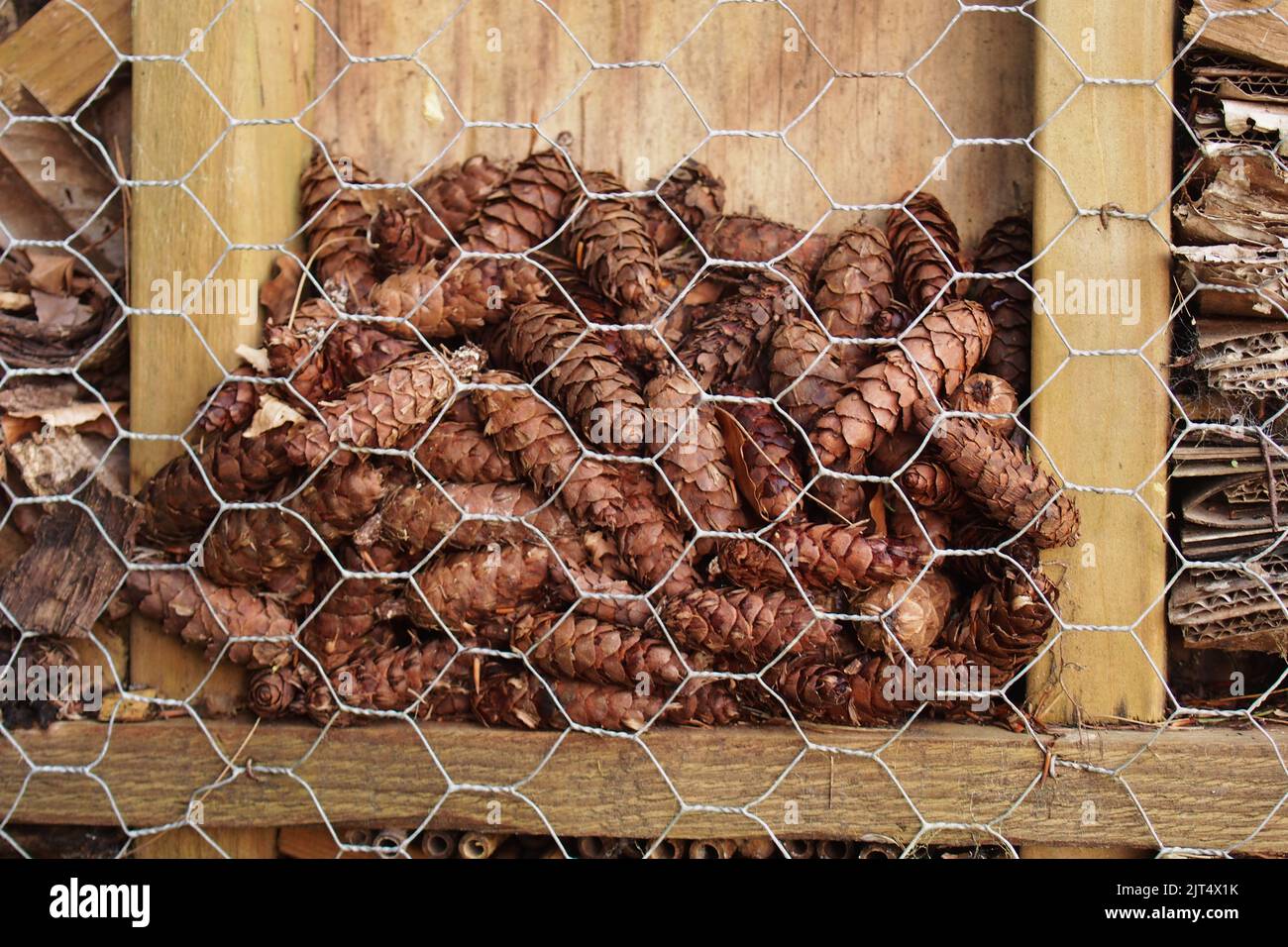 Immagine di un grande hotel d'ape nel Brandon Country Park, Suffolk, che mostra una varietà di materiali Foto Stock