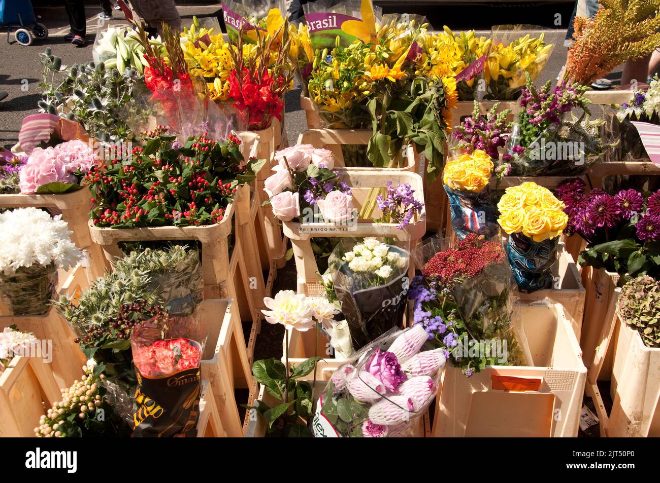 Flower Stall, mercato di Portobello Road, Portobello Road, Londra, Regno Unito. Il mercato di Portobello Road è stato famoso per l'antiquariato per molti anni, ma ora è diventato un Foto Stock