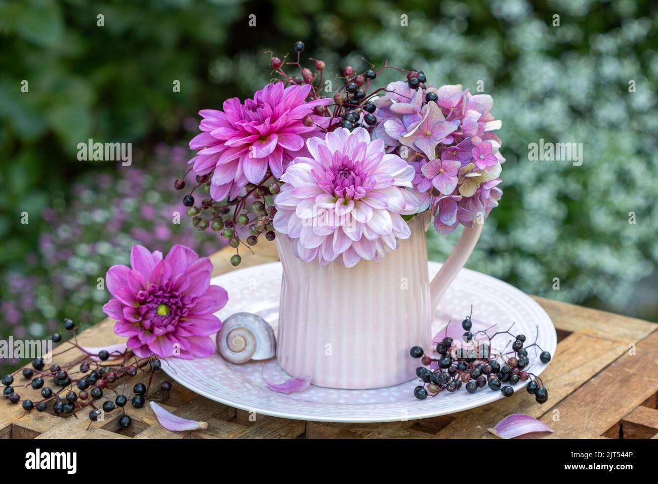 bouquet di dahlias rosa, fiori di idrangea e bacche di sambuco nel latte lattina Foto Stock