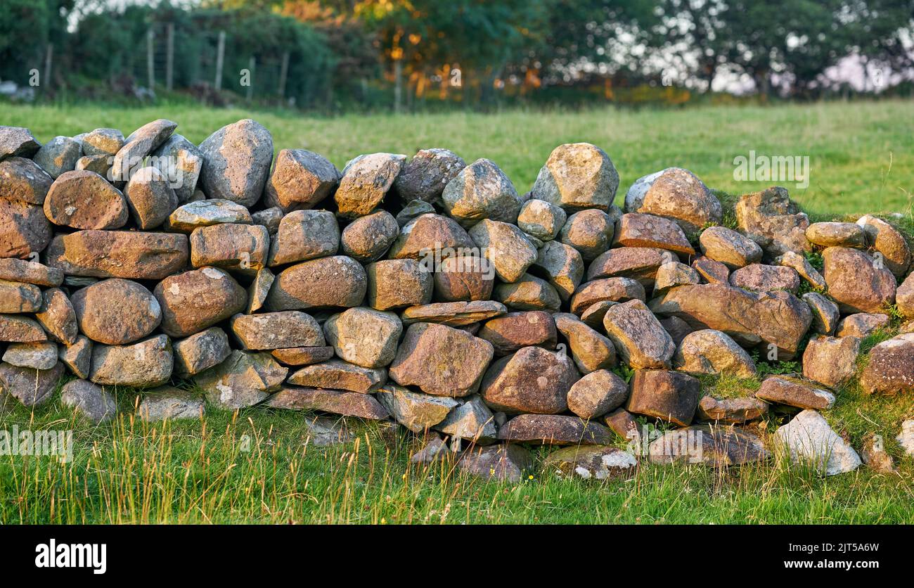 Un muro di pietra in un prato alla luce del sole della sera, in Irlanda. Foto Stock