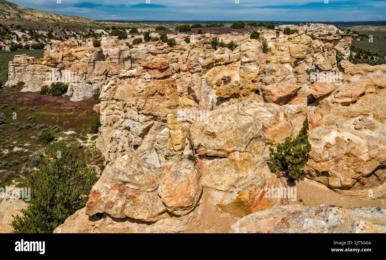 Formazioni rocciose di arenaria, Castle Gardens Scenic Area, Bighorn Basin, vicino alla città di Ten Sleep, Wyoming, USA Foto Stock