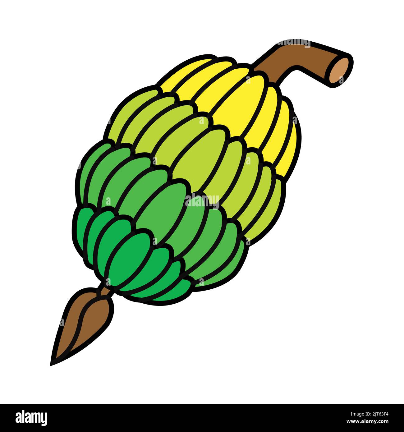 Mazzo di banane - banane vettoriali clipart - stemma delle Figi - logo Figi Illustrazione Vettoriale