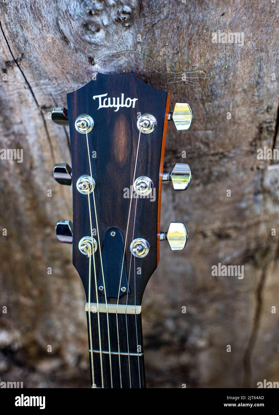 Taylor Guitar neck Foto Stock