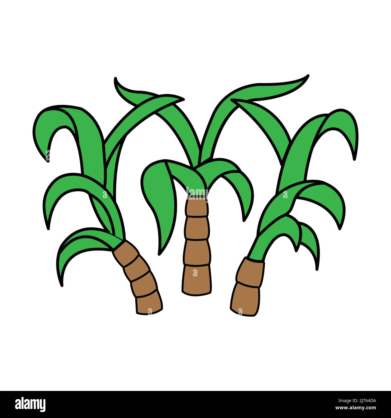 Canna da zucchero vettore clip art - illustrazione di pianta di canna da zucchero Illustrazione Vettoriale