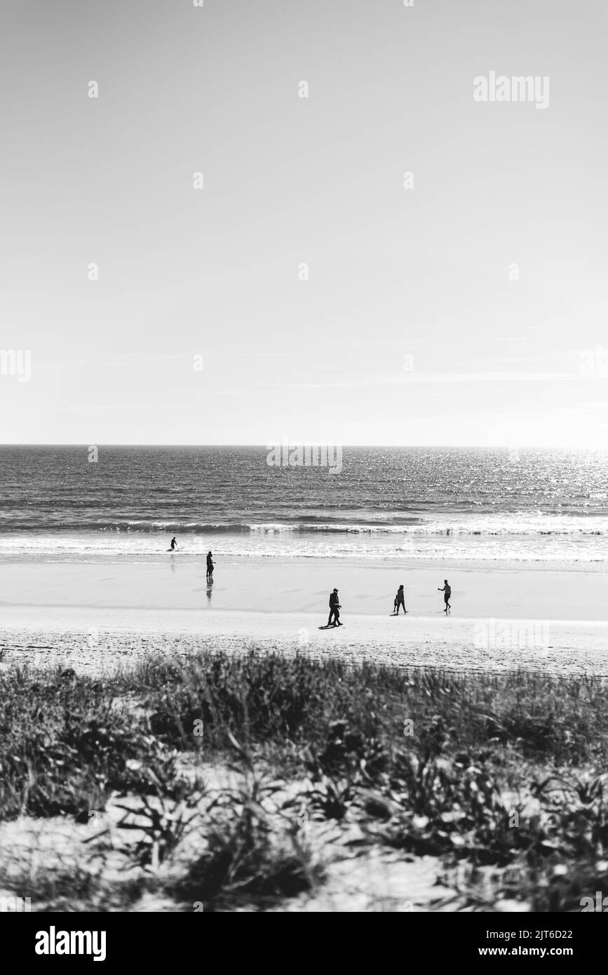 La bella scena di persone che godono l'estate in spiaggia, verticale, in scala di grigi Foto Stock