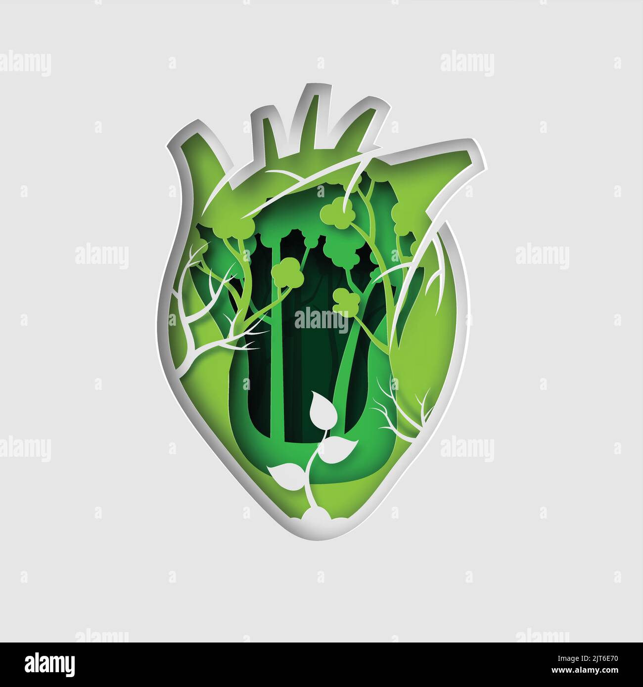 Gambo a spirale di bambù fresco e fortunato su sfondo bianco. Dracaena sanderiana con foglie verdi. Concetto di ecologia Illustrazione Vettoriale