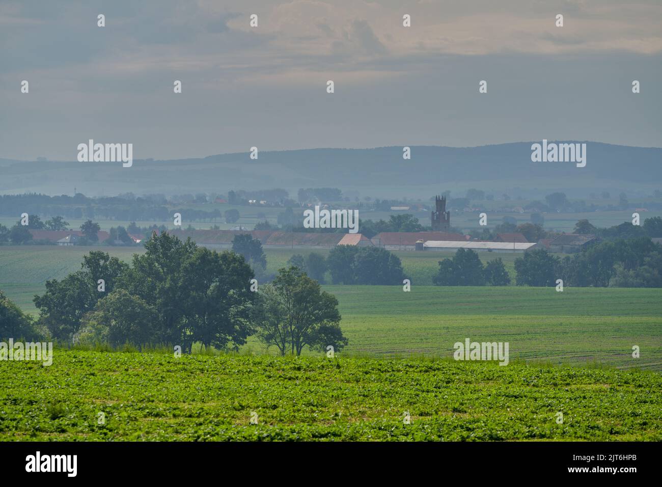 Misty mornig nei campi bassa Slesia Polonia Foto Stock