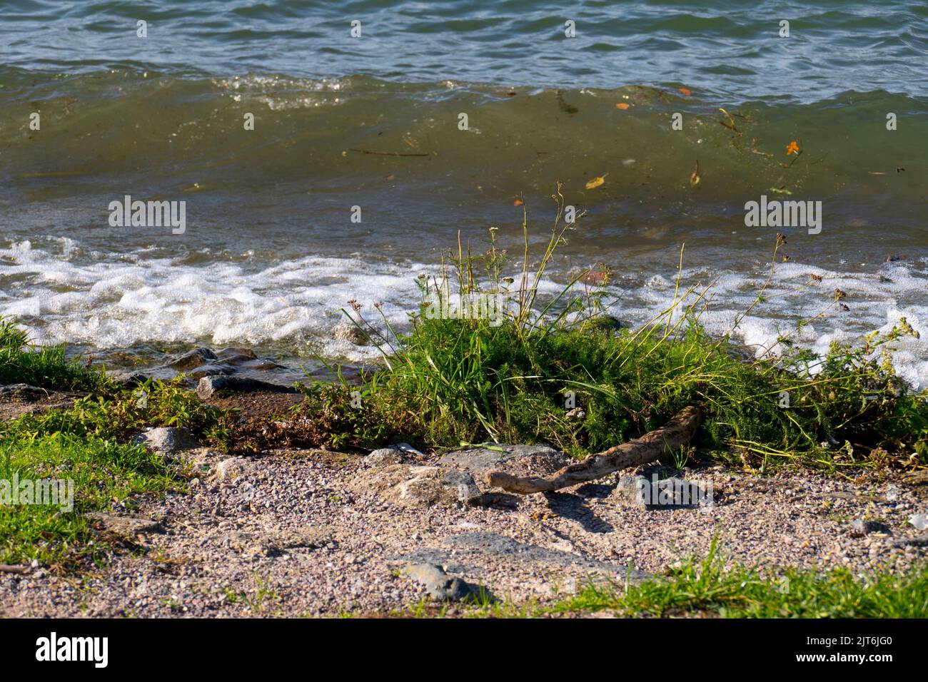 Wellen brechen am Rhein Strand, Ufer auf Foto Stock