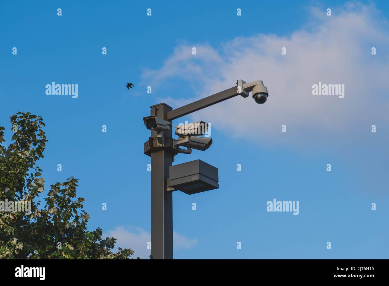 Telecamere di sorveglianza sul lampione con cielo blu e un uccello in volo Foto Stock