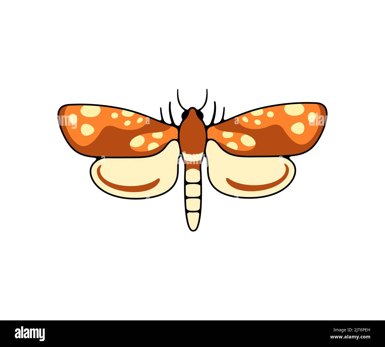 Moth notturno macchiato, farfalla e Moth, logo design. Insetti volanti, natura, entomologia ed entomologia, disegno vettoriale ed illustrazione Illustrazione Vettoriale