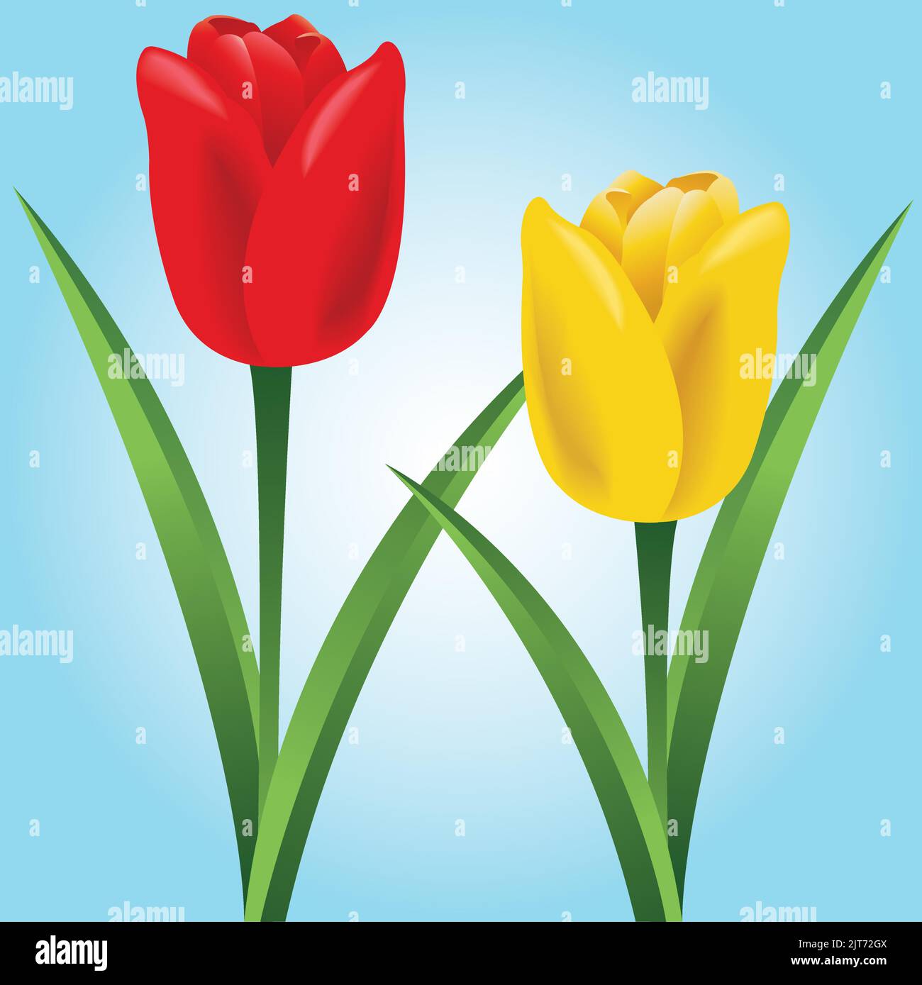 Un'illustrazione grafica di un paio di fiori di tulipano primaverile. Illustrazione Vettoriale
