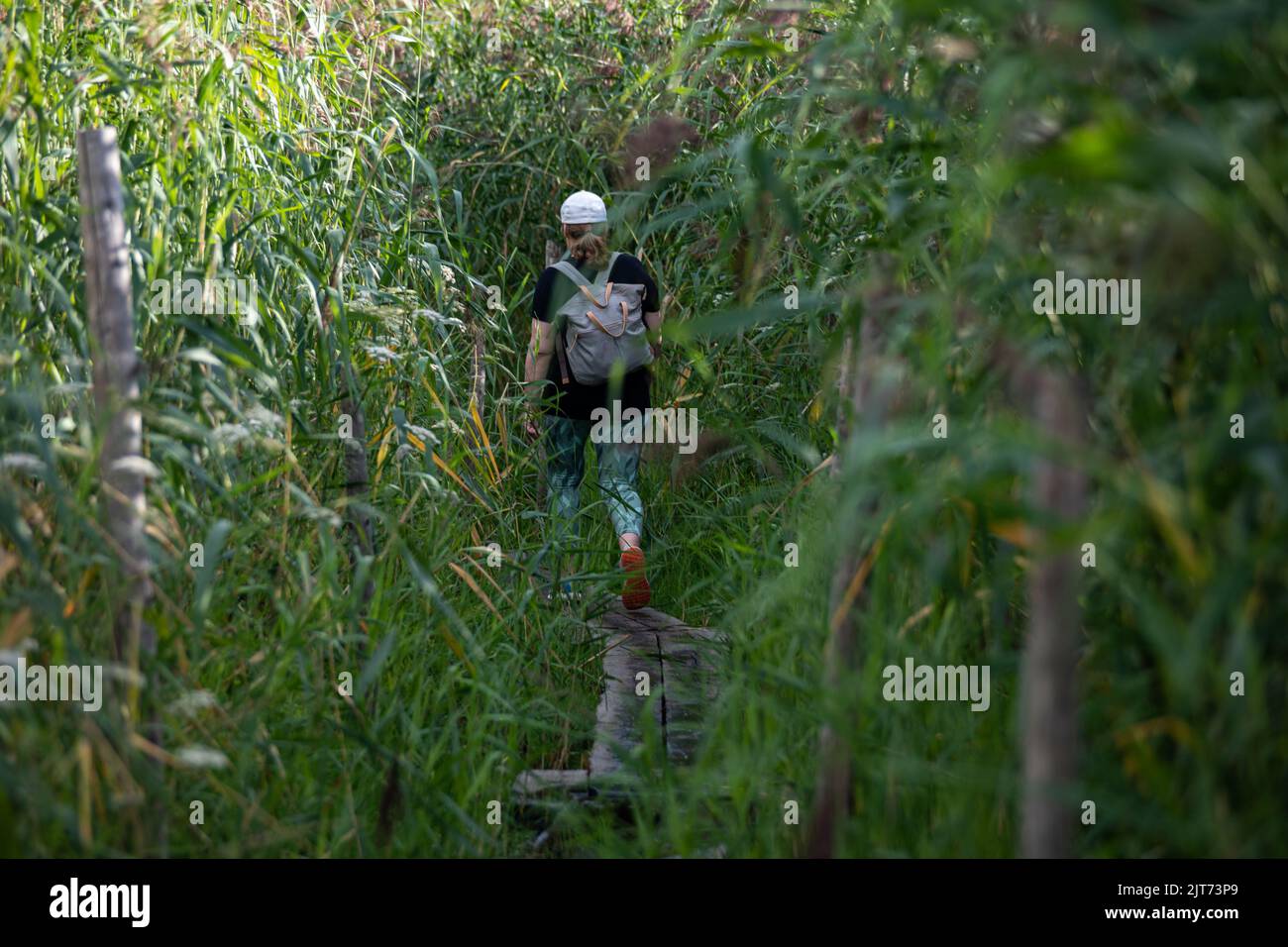 Donna con uno zaino che cammina su una tavola da duckboard a Lammassaari, Helsinki, Finlandia Foto Stock
