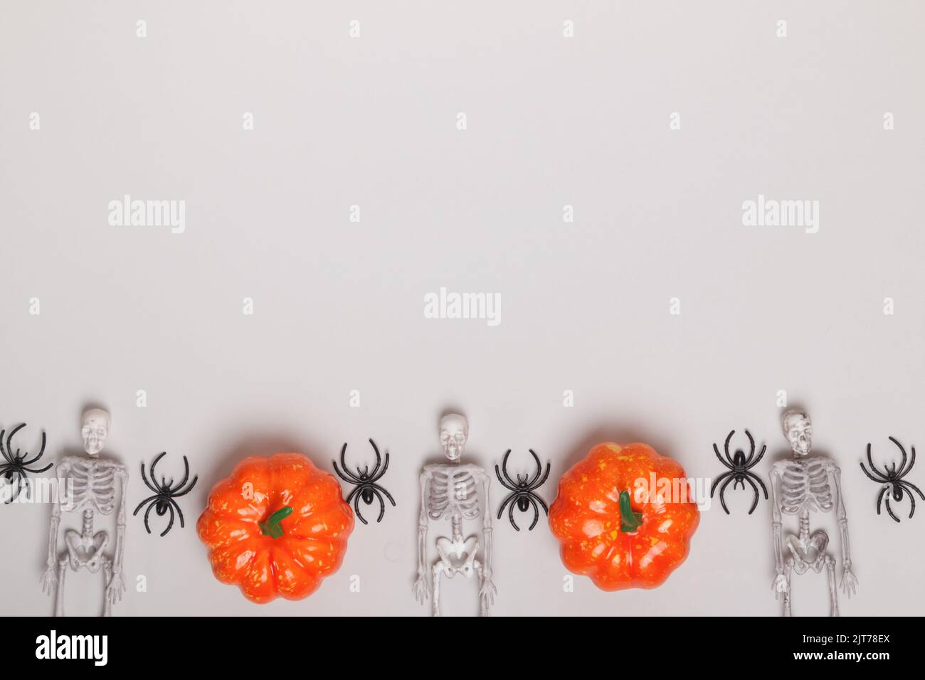 Scheletri di ragno di zucca di Halloween. Decorazioni per striscioni su sfondo grigio bianco. Foto Stock