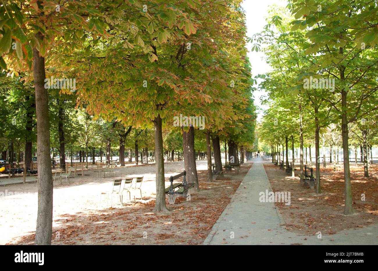 Passerelle, Giardini del Lussemburgo, Parigi, Francia Foto Stock