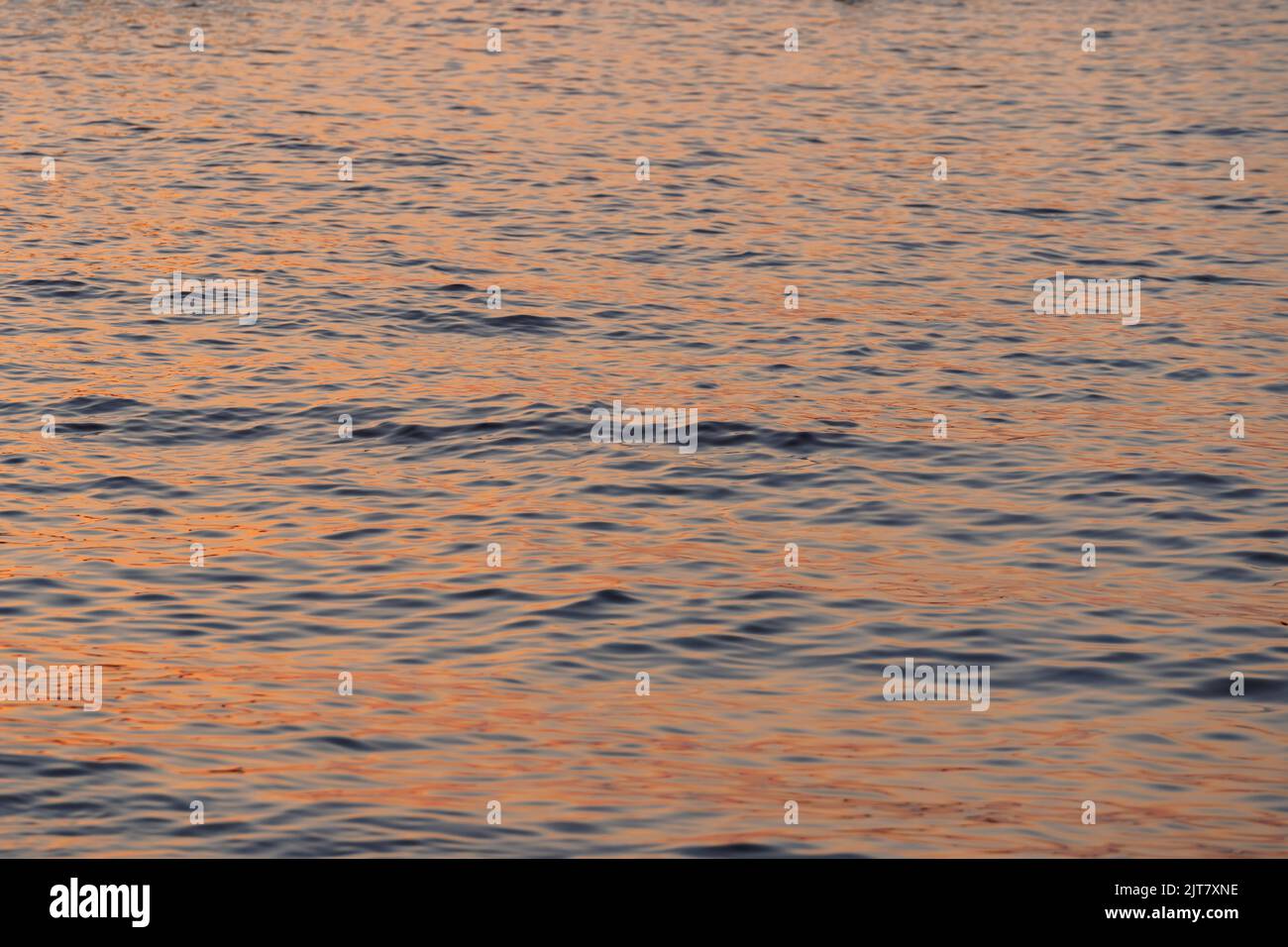 Ripple acqua mare oceano superficie con luce tramonto dorato. Primo piano dell'onda di mare Foto Stock