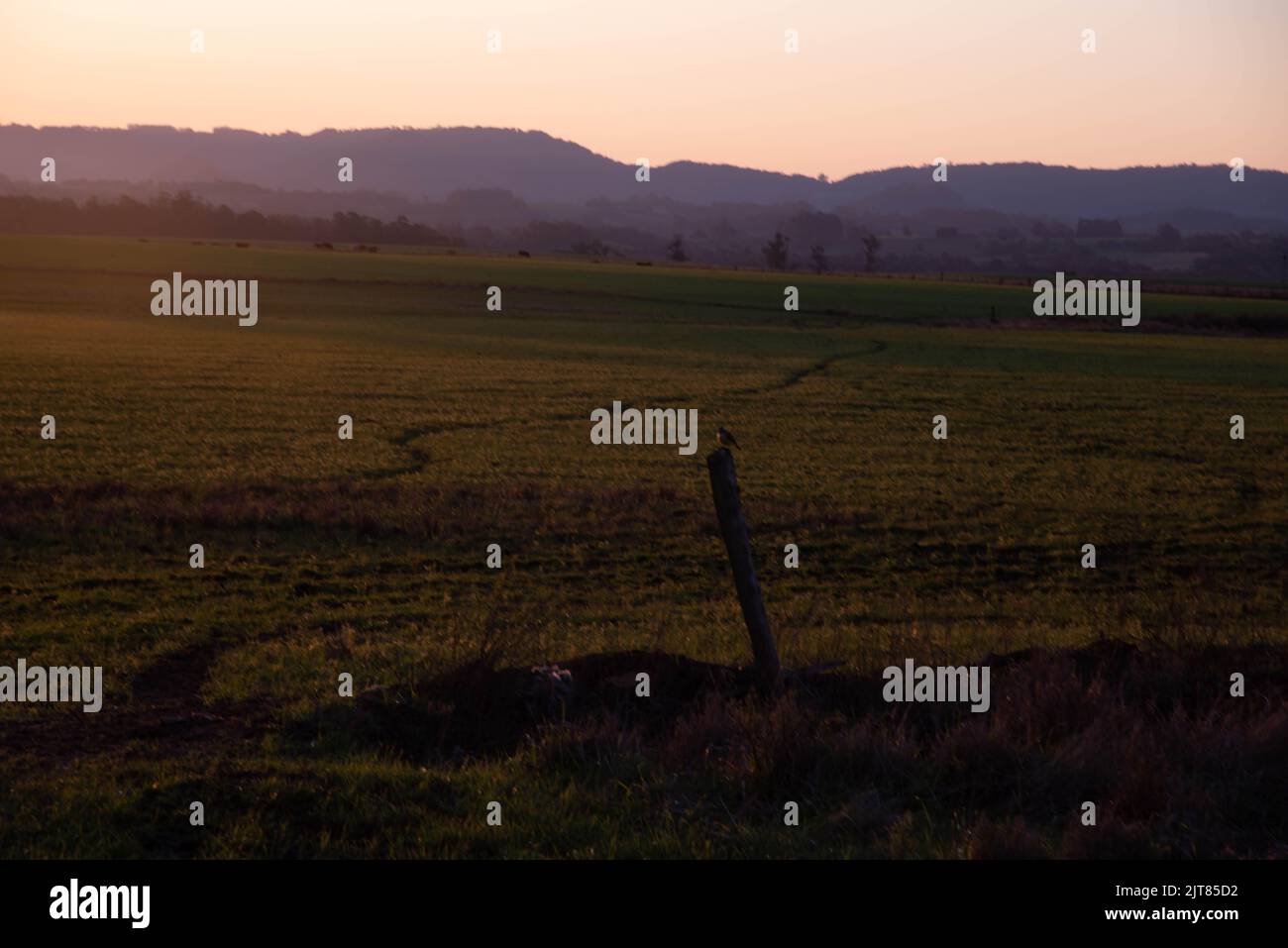 Paesaggi del bioma pampa al tramonto. Nel tardo pomeriggio sul campo. Paesaggi rurali. Crepuscolo in aree agricole. Natura. Colori e luci crepuscolari. Senta Foto Stock