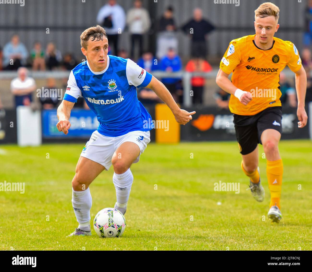 Joel Cooper - Carrick Rangers Vs Linfield, Danske Bank Premiership, Loughview Leisure Arena Carrickfergus, domenica 28th agosto 2022. Foto Stock