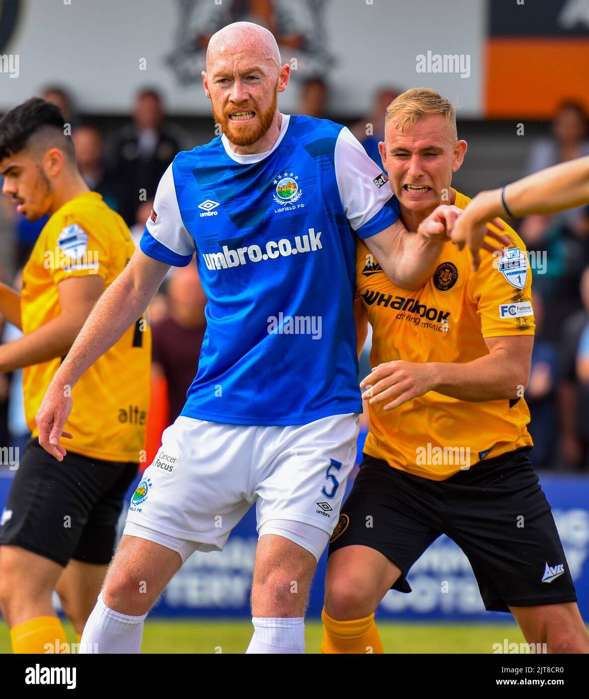 Chris Shields & Andy Mitchell - Carrick Rangers Vs Linfield, Danske Bank Premiership, Loughview Leisure Arena Carrickfergus, domenica 28th agosto 2022. Foto Stock