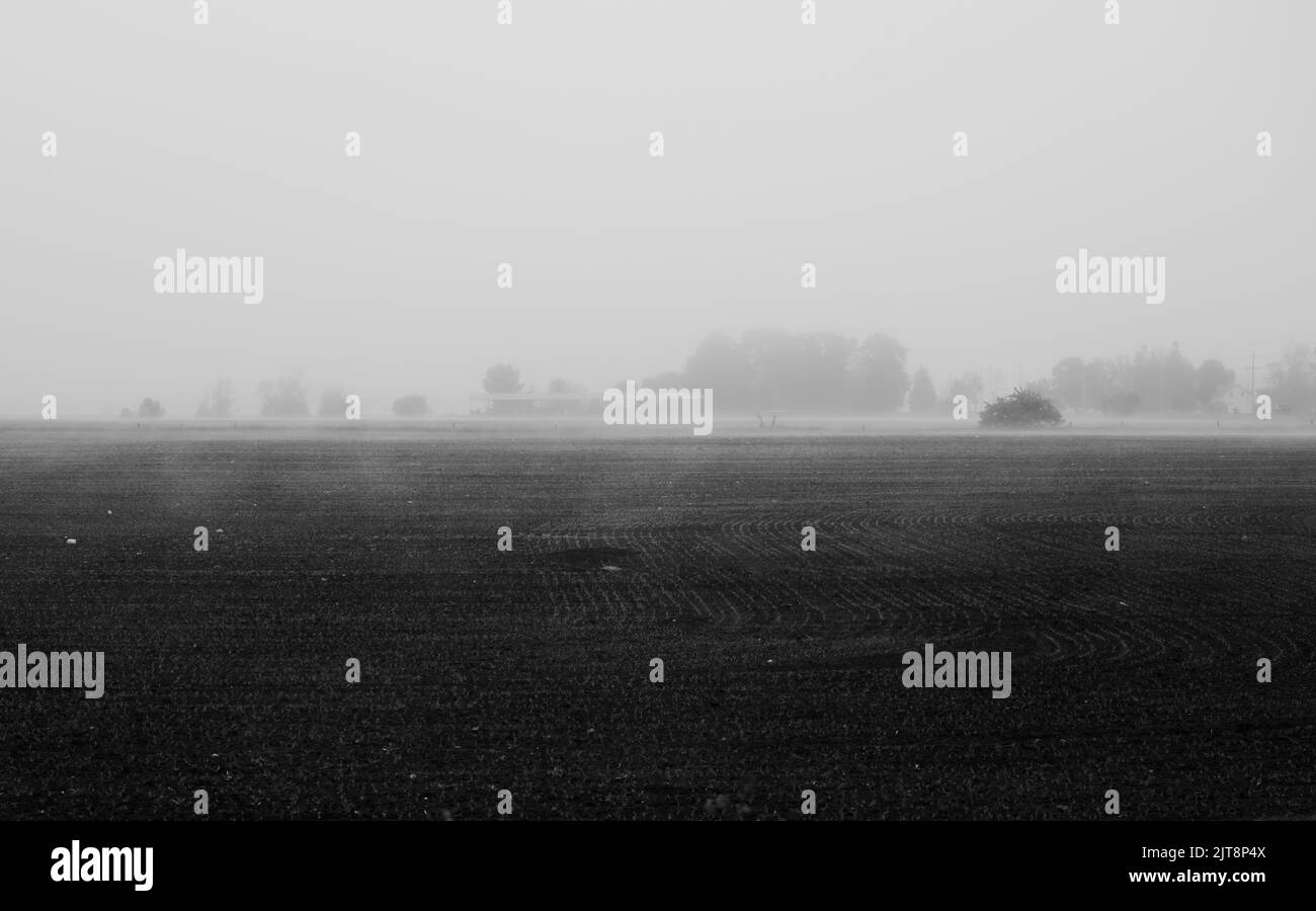 Un'immagine in scala di grigi di un campo agricolo con alberi nebbosi sullo sfondo Foto Stock