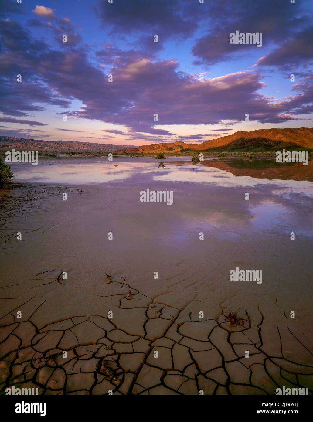 Sunrise, Amargosa River, Saratoga Springs, il Parco Nazionale della Valle della Morte, California Foto Stock