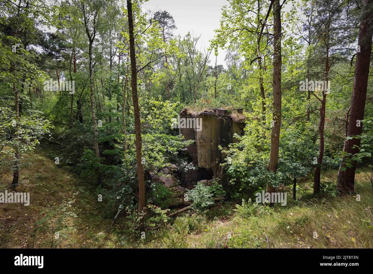 Geesthacht, Germania. 02nd ago, 2022. Le rovine di un'ex pressa per polveri da sparo possono essere viste sul sito della fabbrica di polveri da sparo di Düneberg durante un tour con il Förderkreis Industriemuseum Geesthacht. I resti di una fabbrica di polvere da sparo, una volta gigantesca, si trovano ancora nelle dune di sabbia di Besenhorst sulla riva Geesthacht dell'Elba, vicino Amburgo. (A dpa: 'Le dune di Geesthacht nascondono rovine immerse nella storia') Credit: Christian Charisius/dpa/Alamy Live News Foto Stock